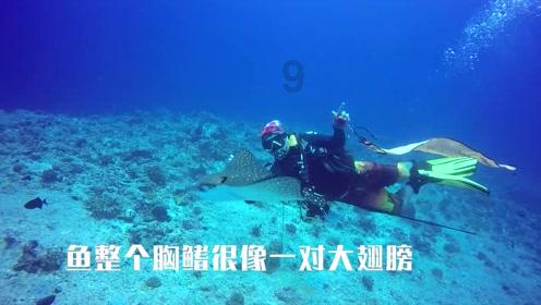 铠甲勇士大作战2